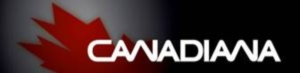 Конструктивные особенности снегоуборщиков Canadiana