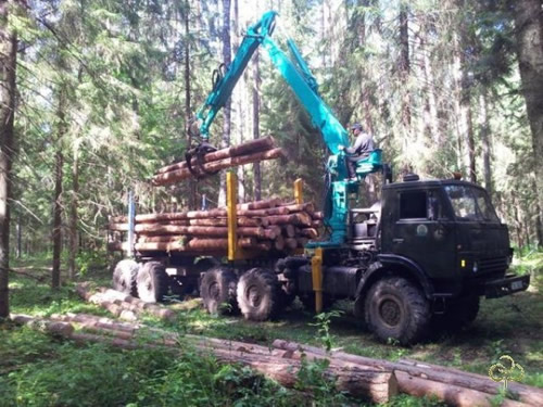 Лесовоз с манипулятором на базе шасси камаз 4310